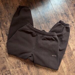 Aritzia Cozy Sweatfleece Mega Jogger